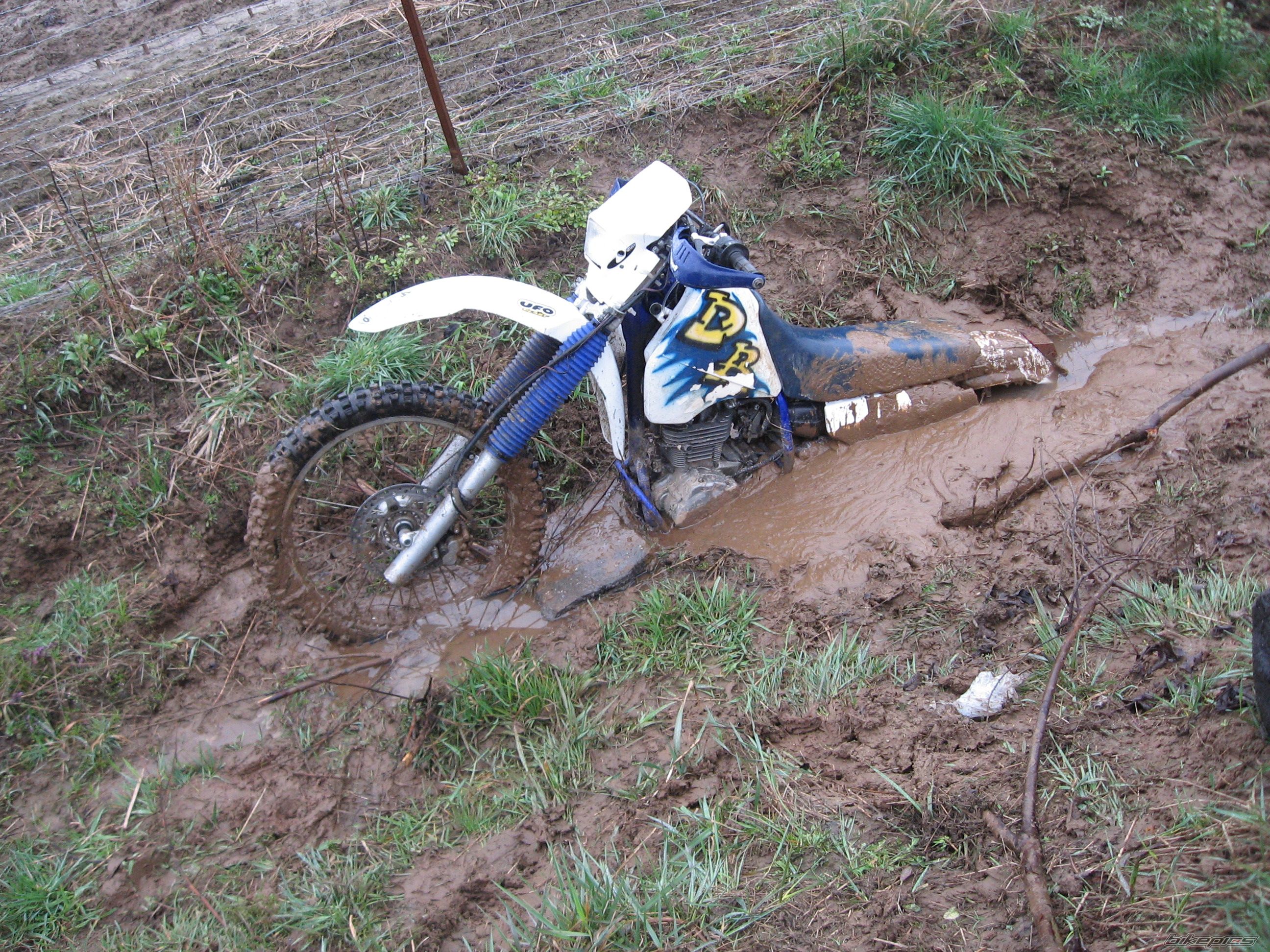 Photo 1243423