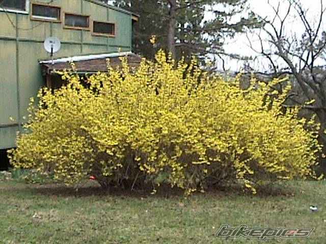 Photo 124346