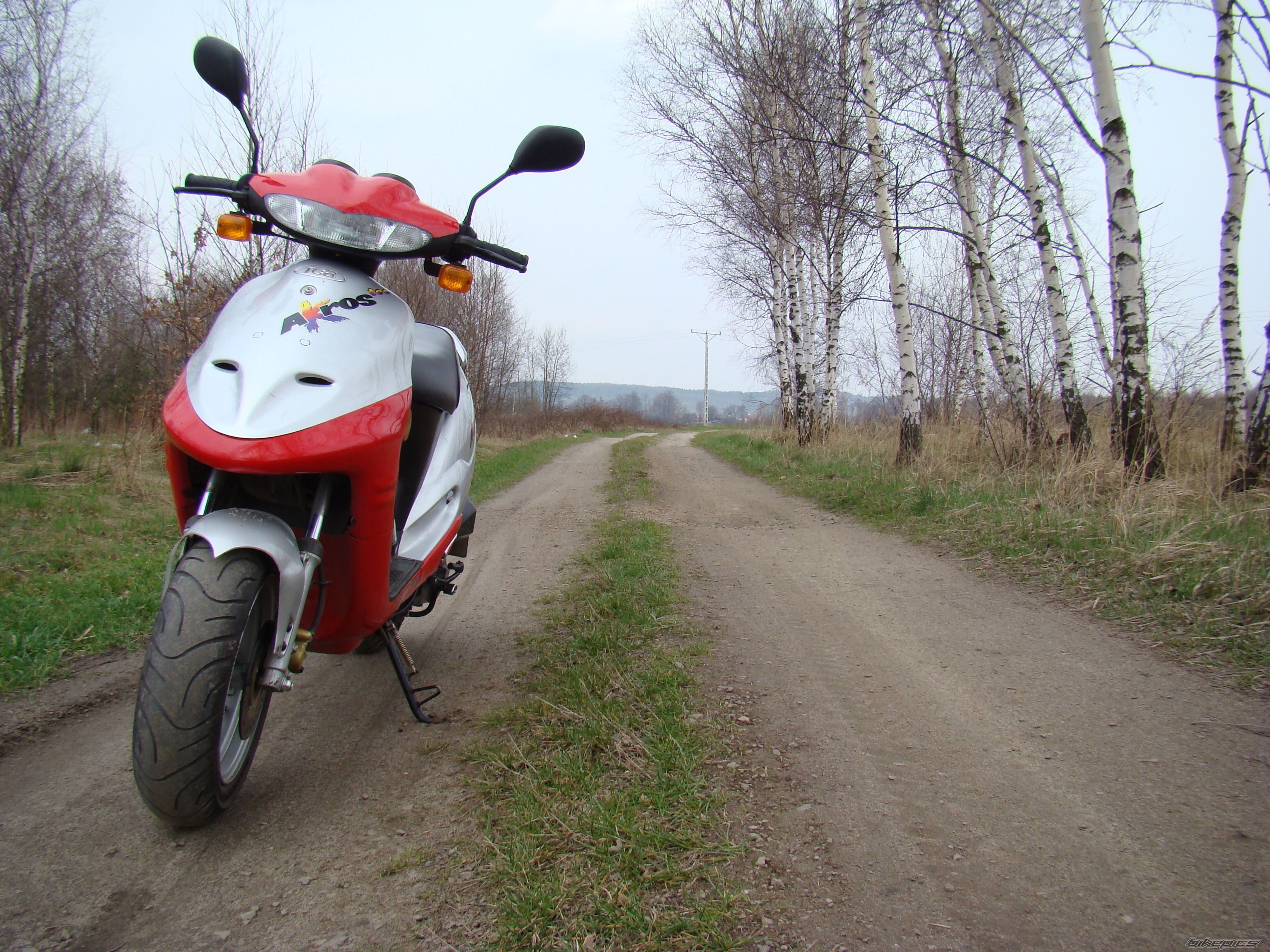 Photo 1243683