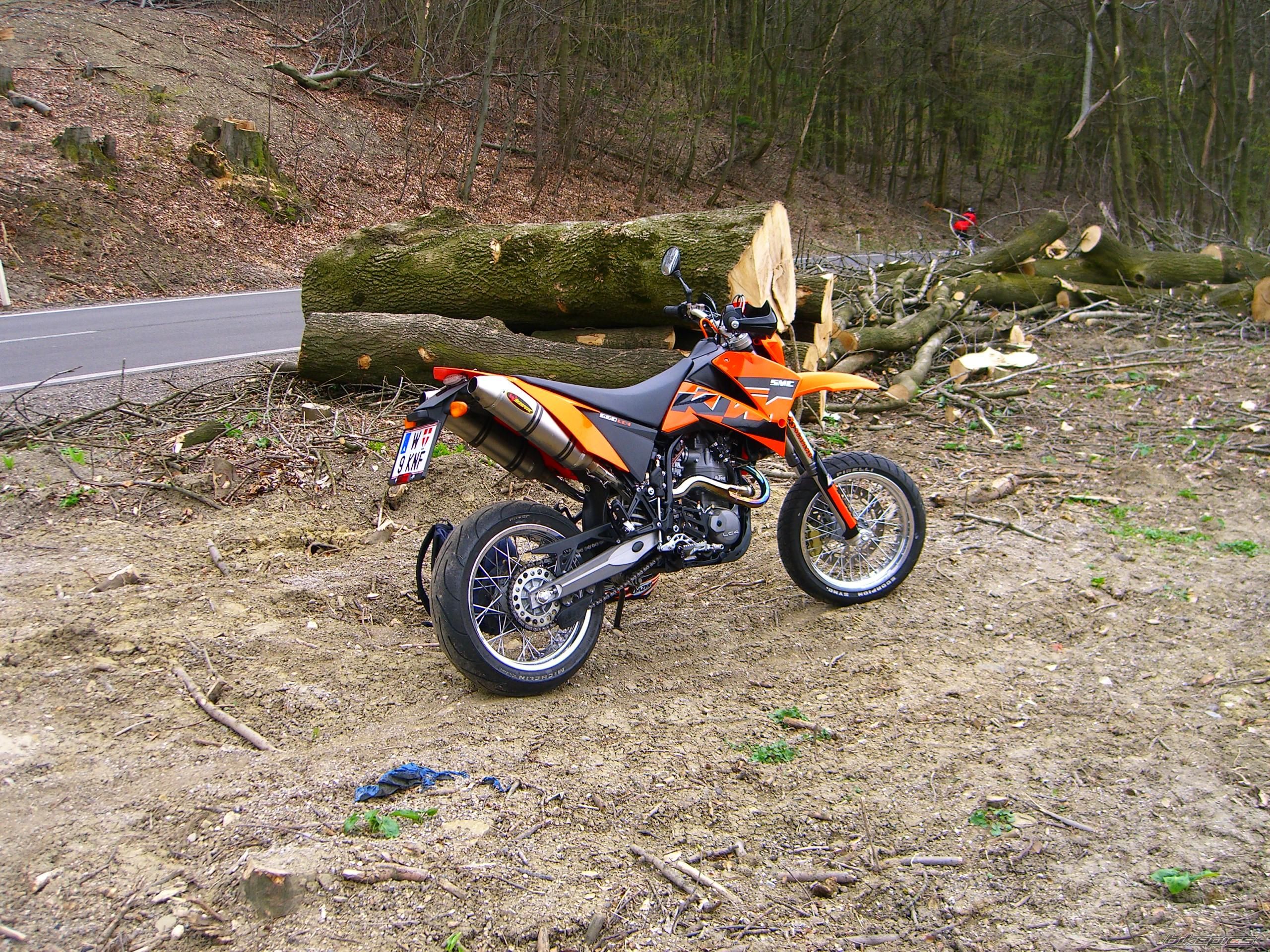 Photo 1243688