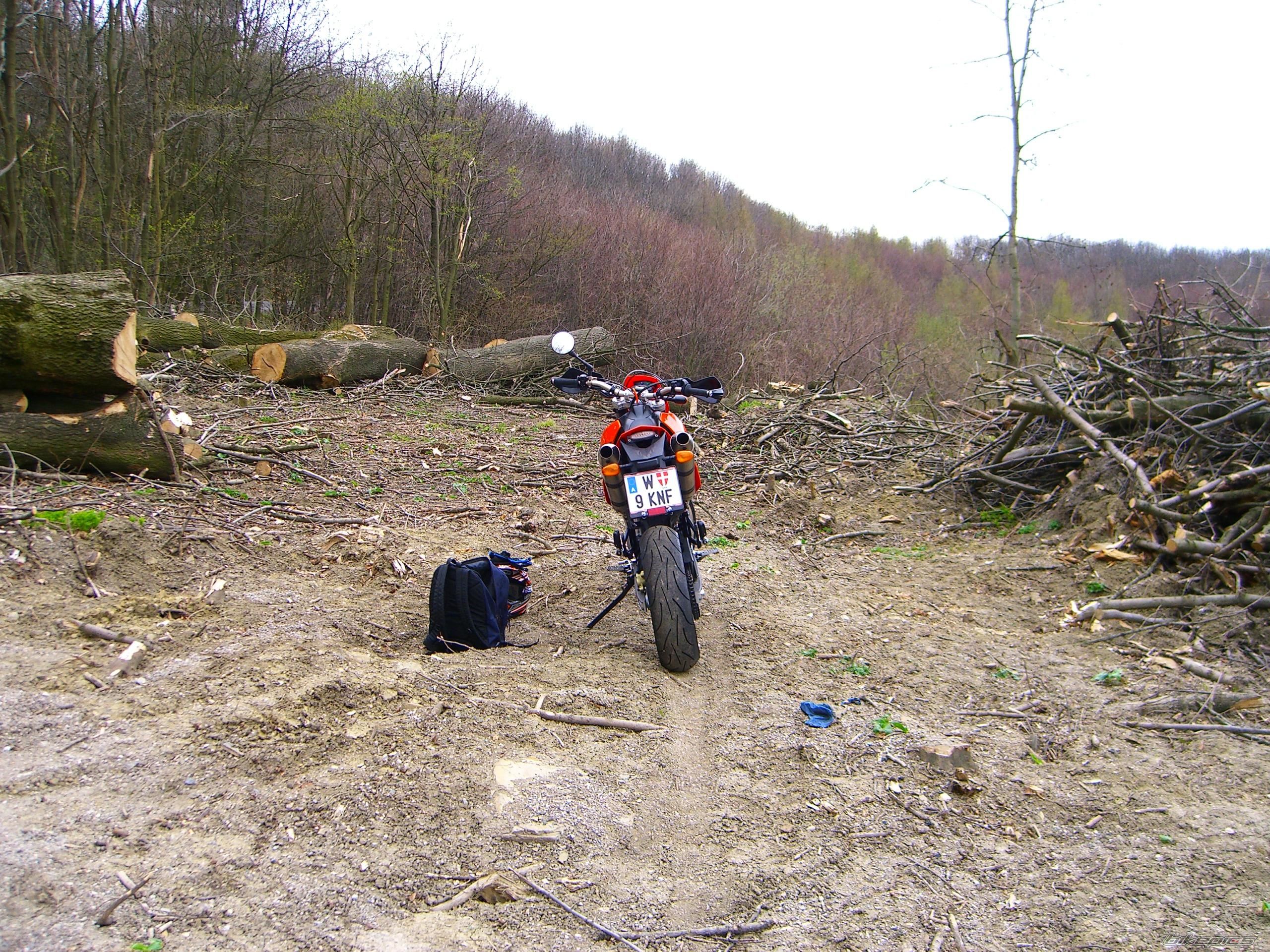 Photo 1243692