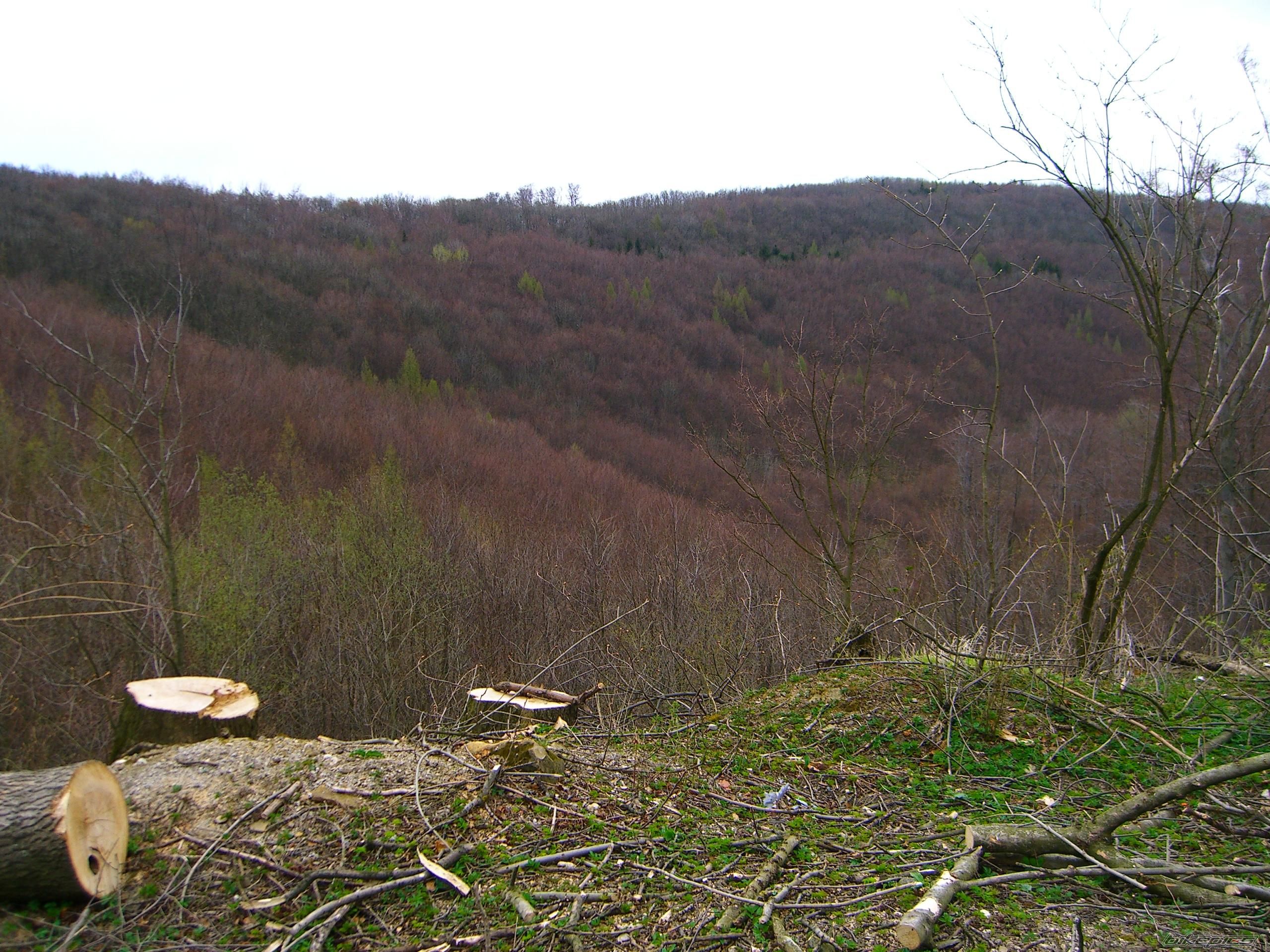 Photo 1243698