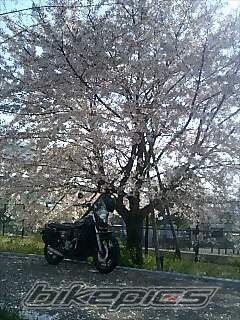 Photo 1243721