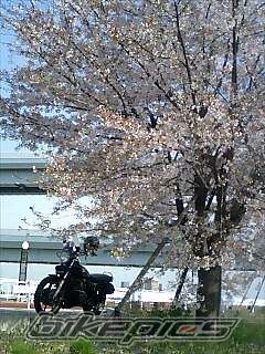Photo 1243725