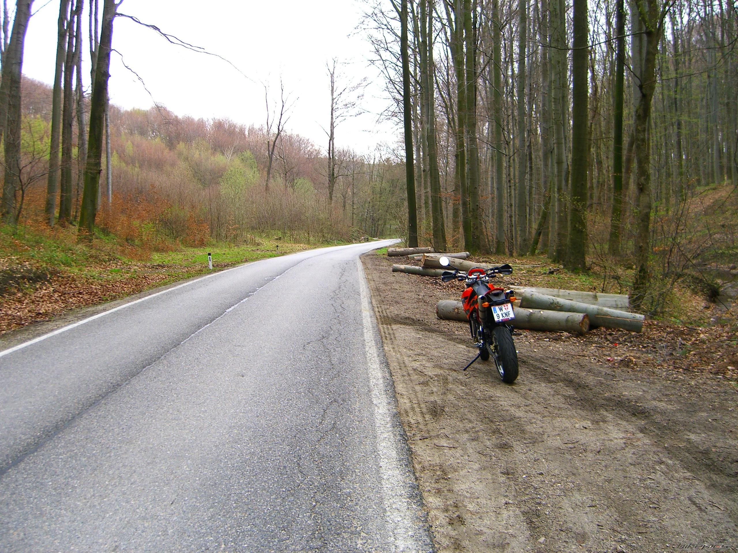 Photo 1243727