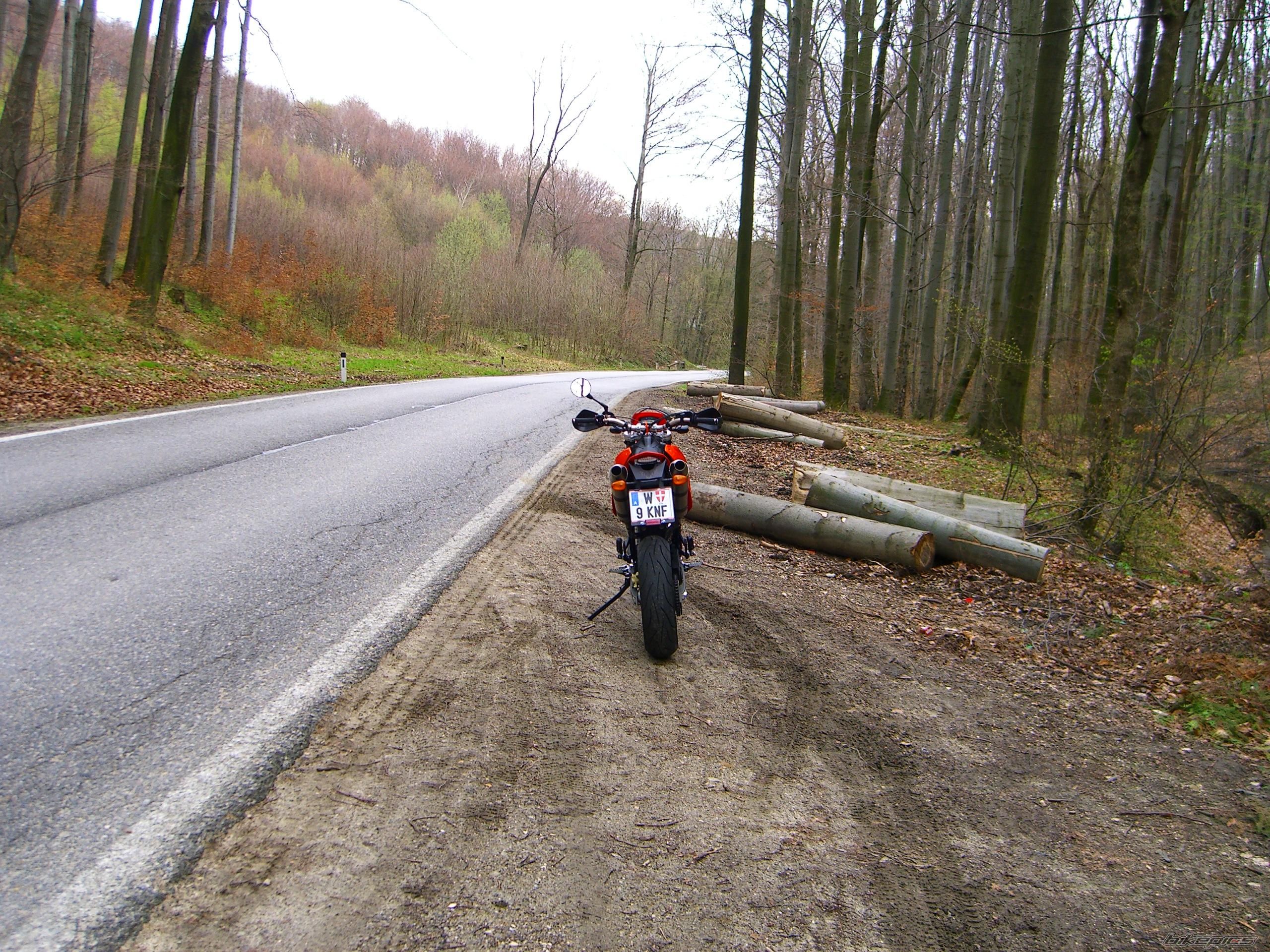 Photo 1243729