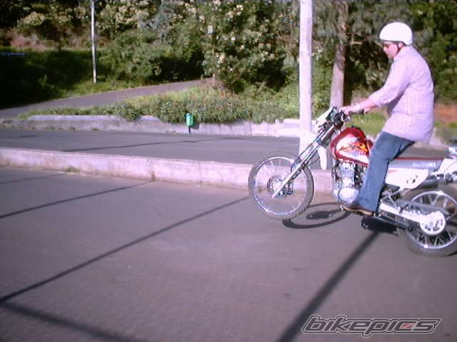 Photo 124375