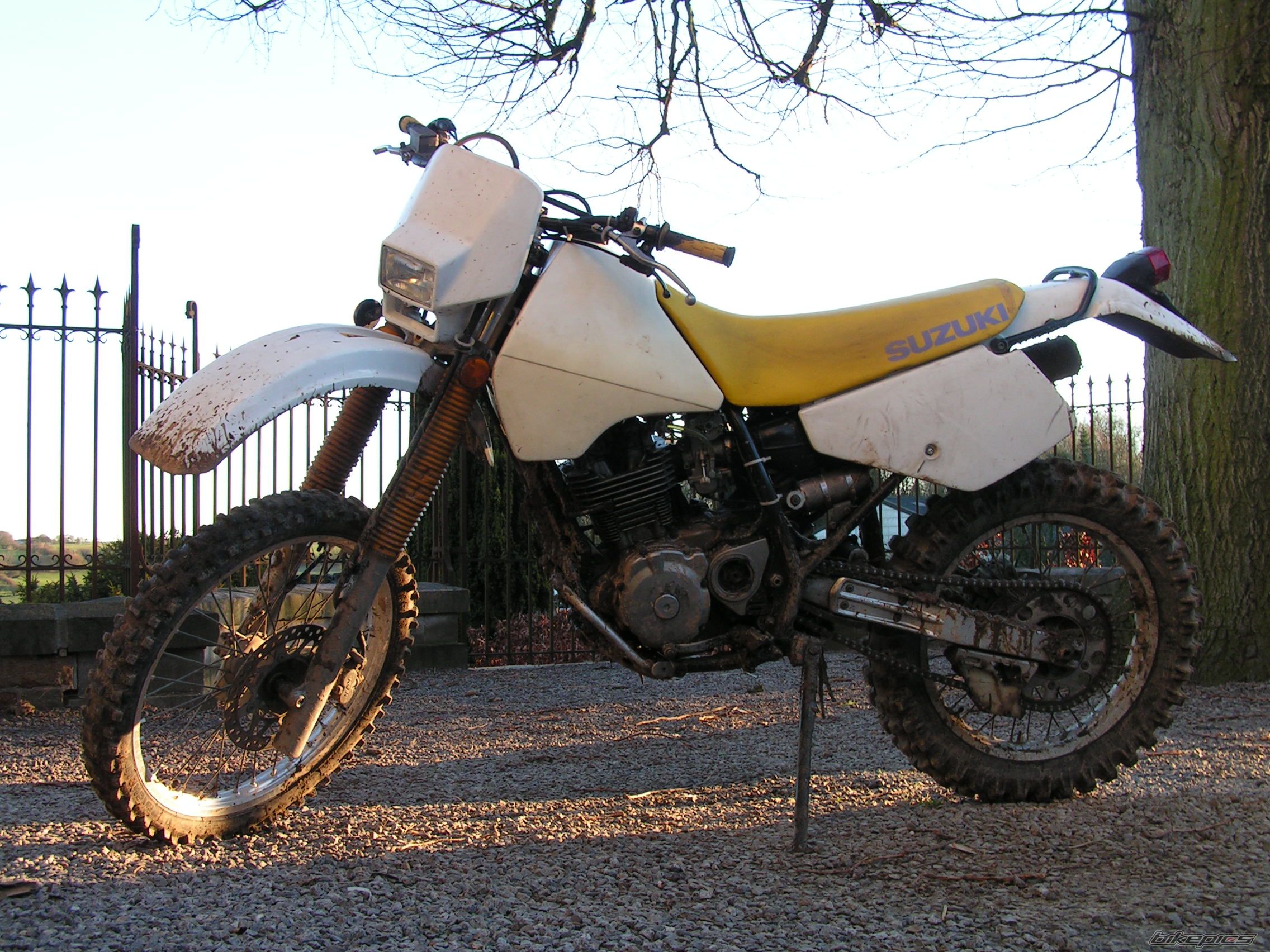 Photo 1243783