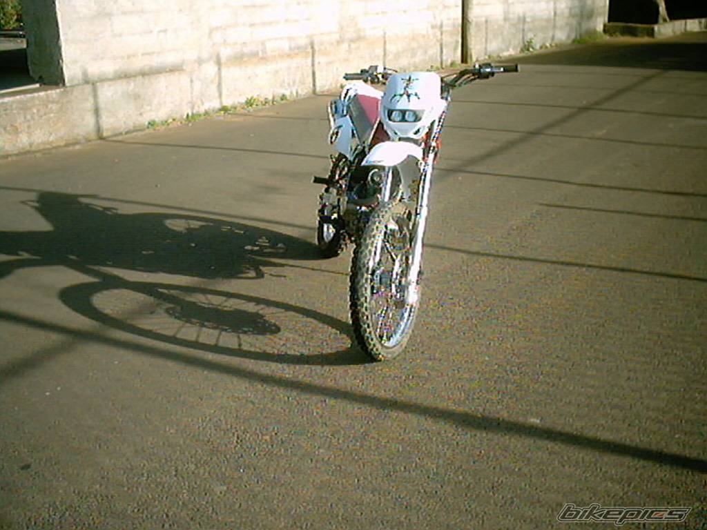 Photo 124379