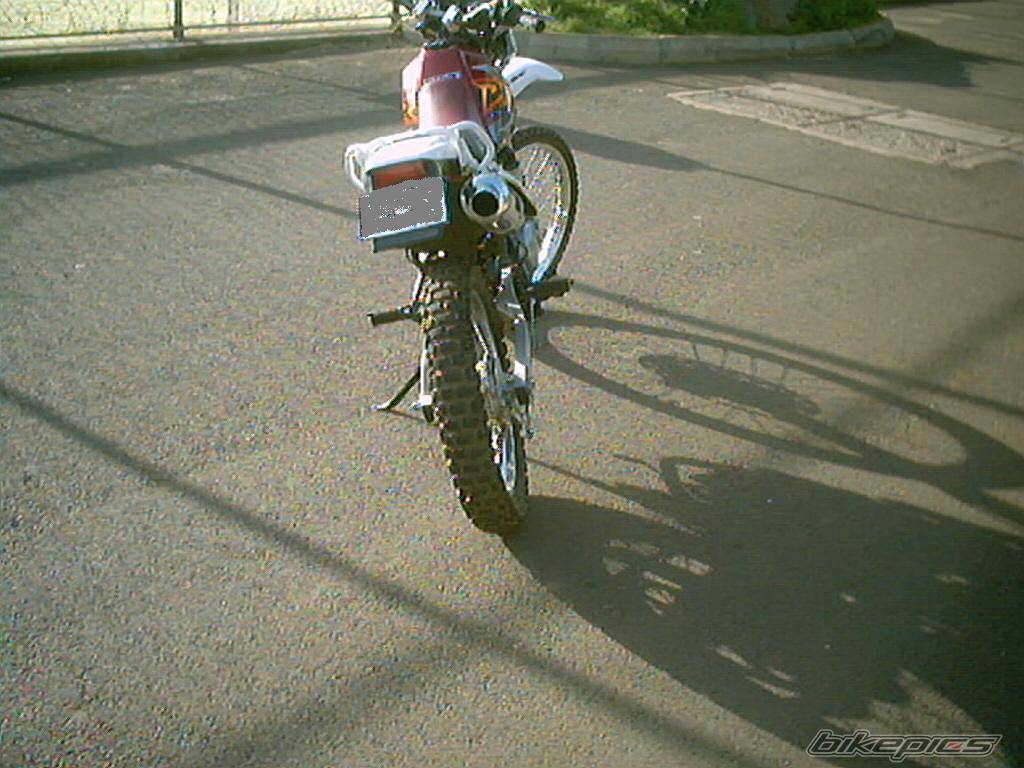 Photo 124380