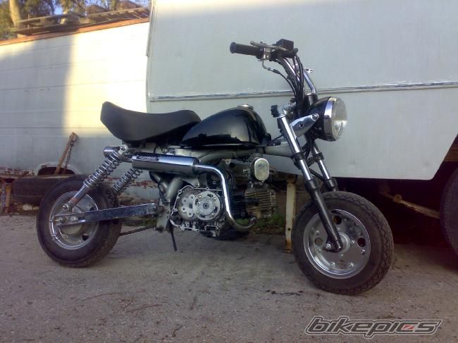 Photo 1243879