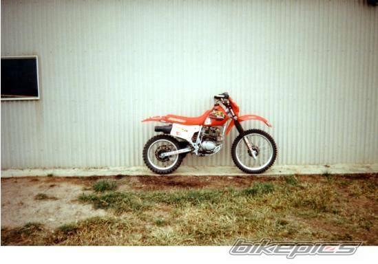 Photo 124393