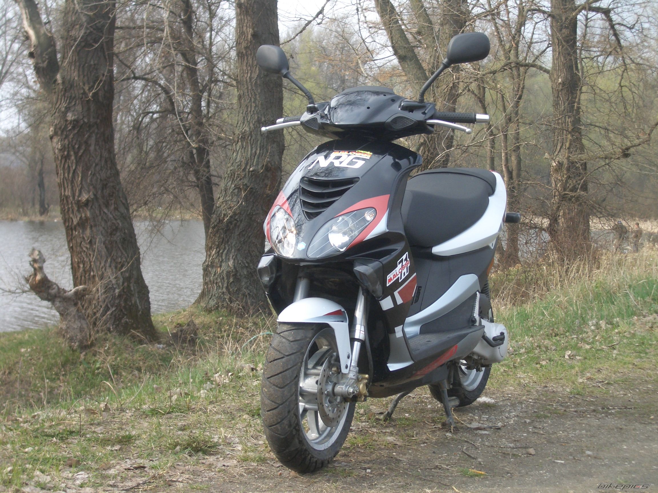 Photo 1243931