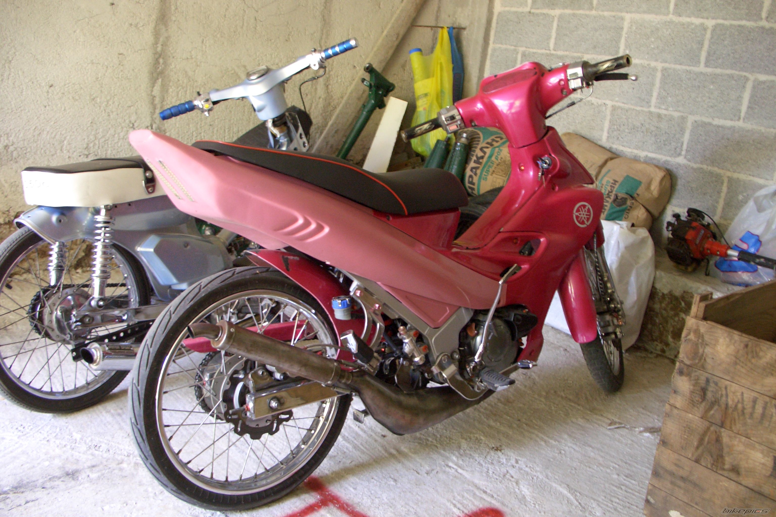 Photo 1243969