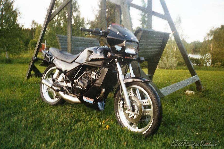 Photo 124398