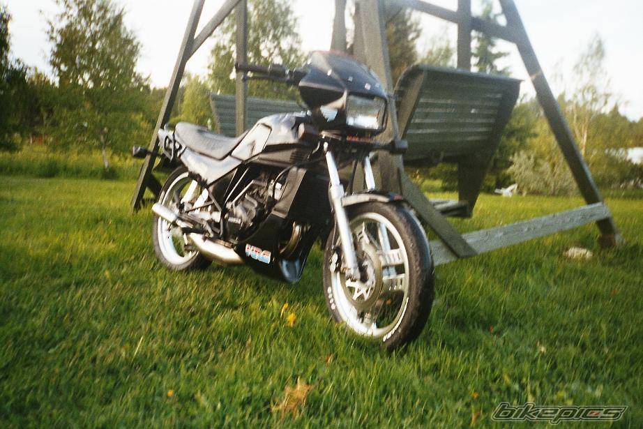 Photo 124399