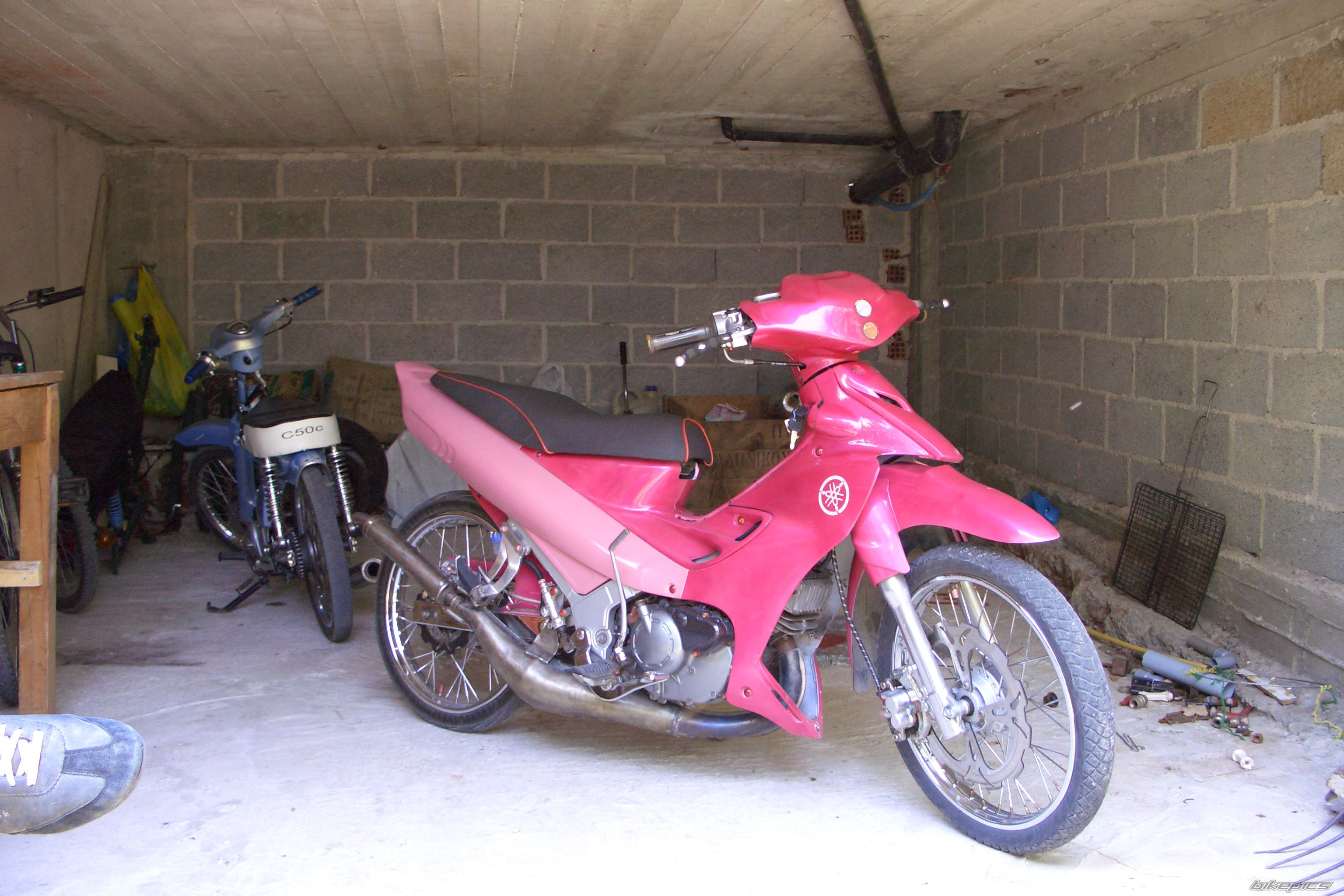 Photo 1243993