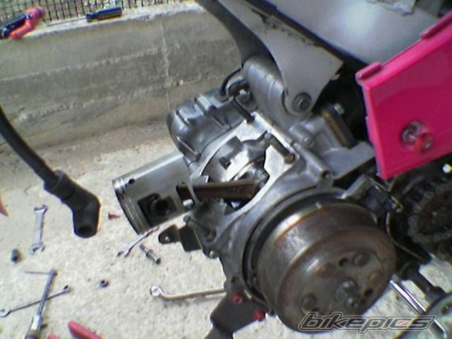 Photo 1244011