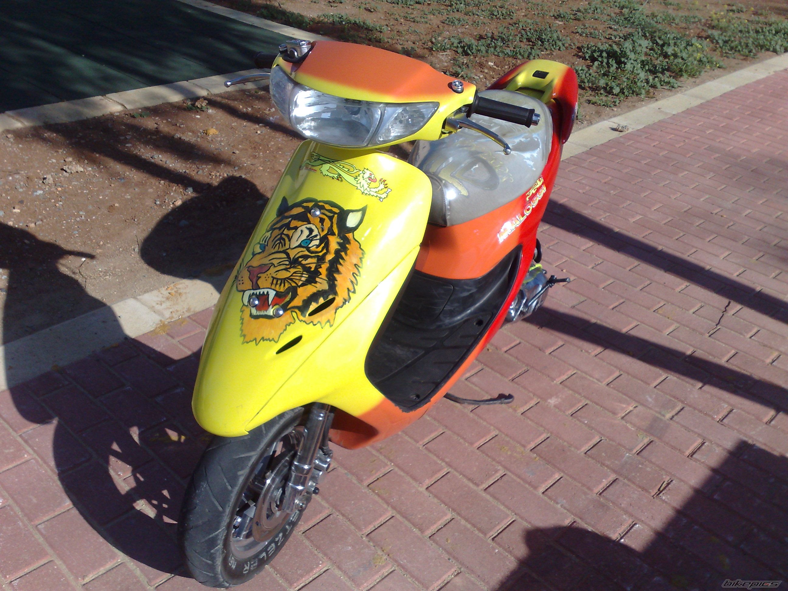 Photo 1244035