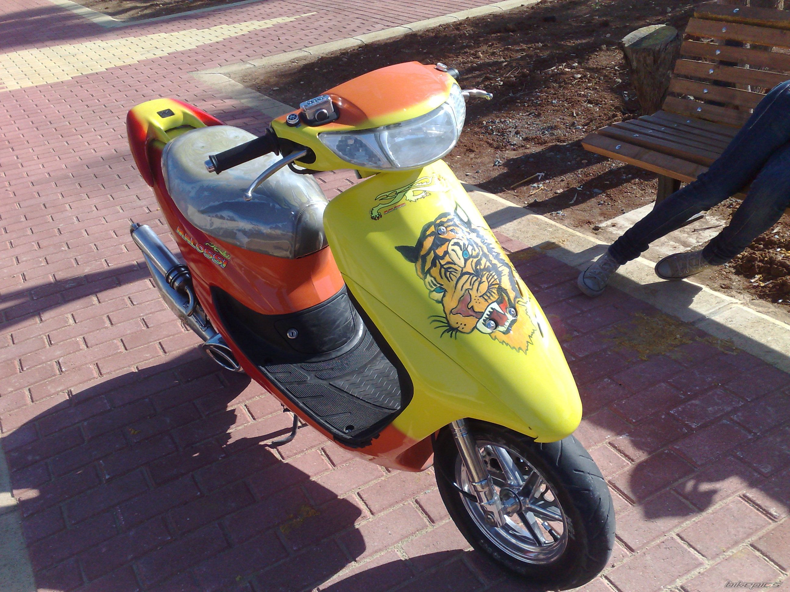 Photo 1244043