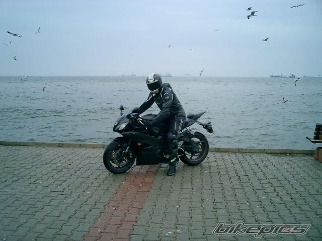 Photo 1244049