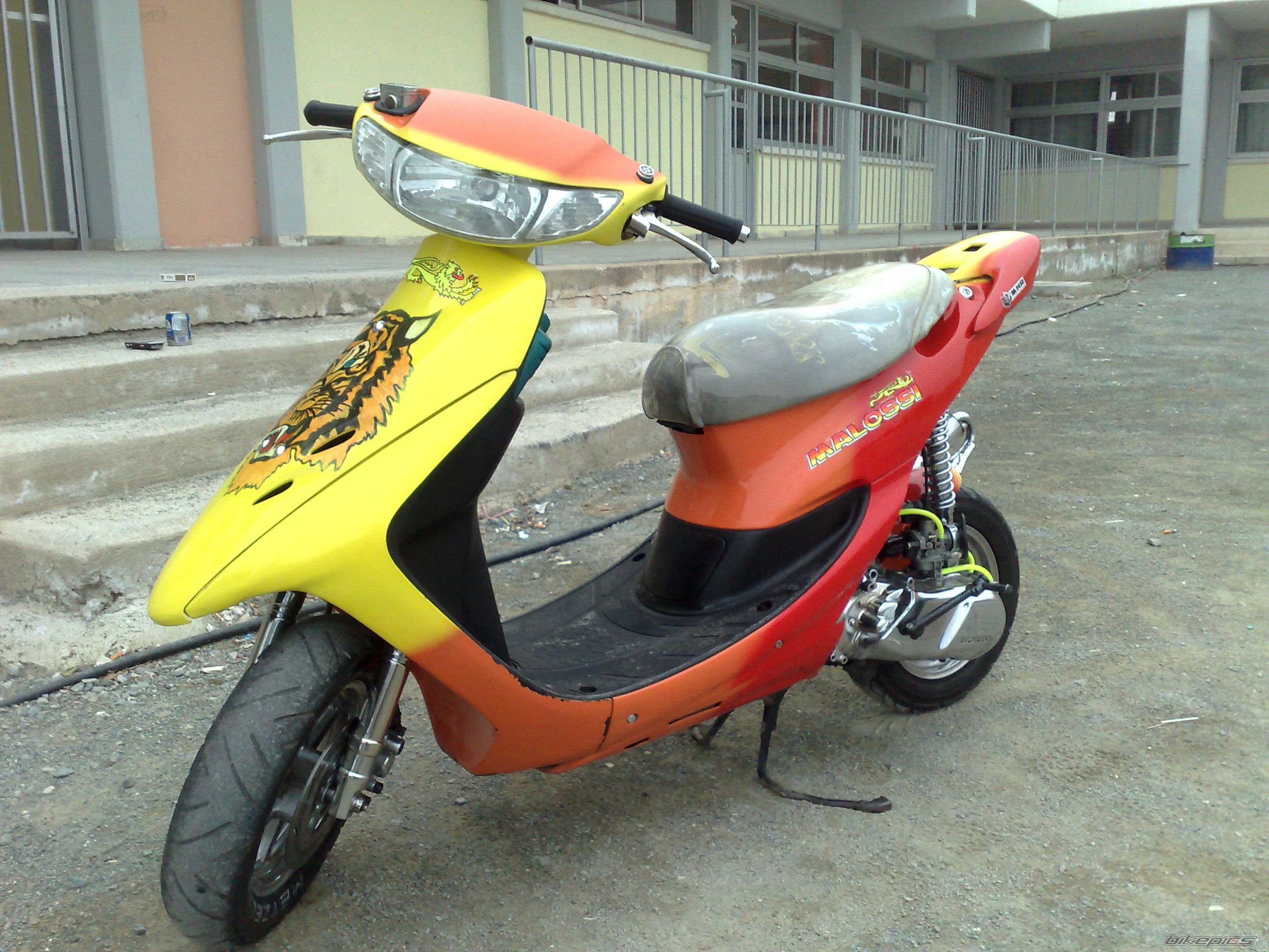 Photo 1244099