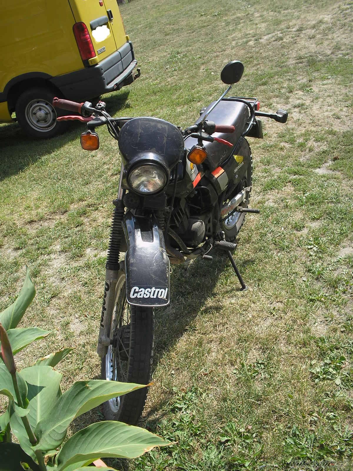 Photo 1244184