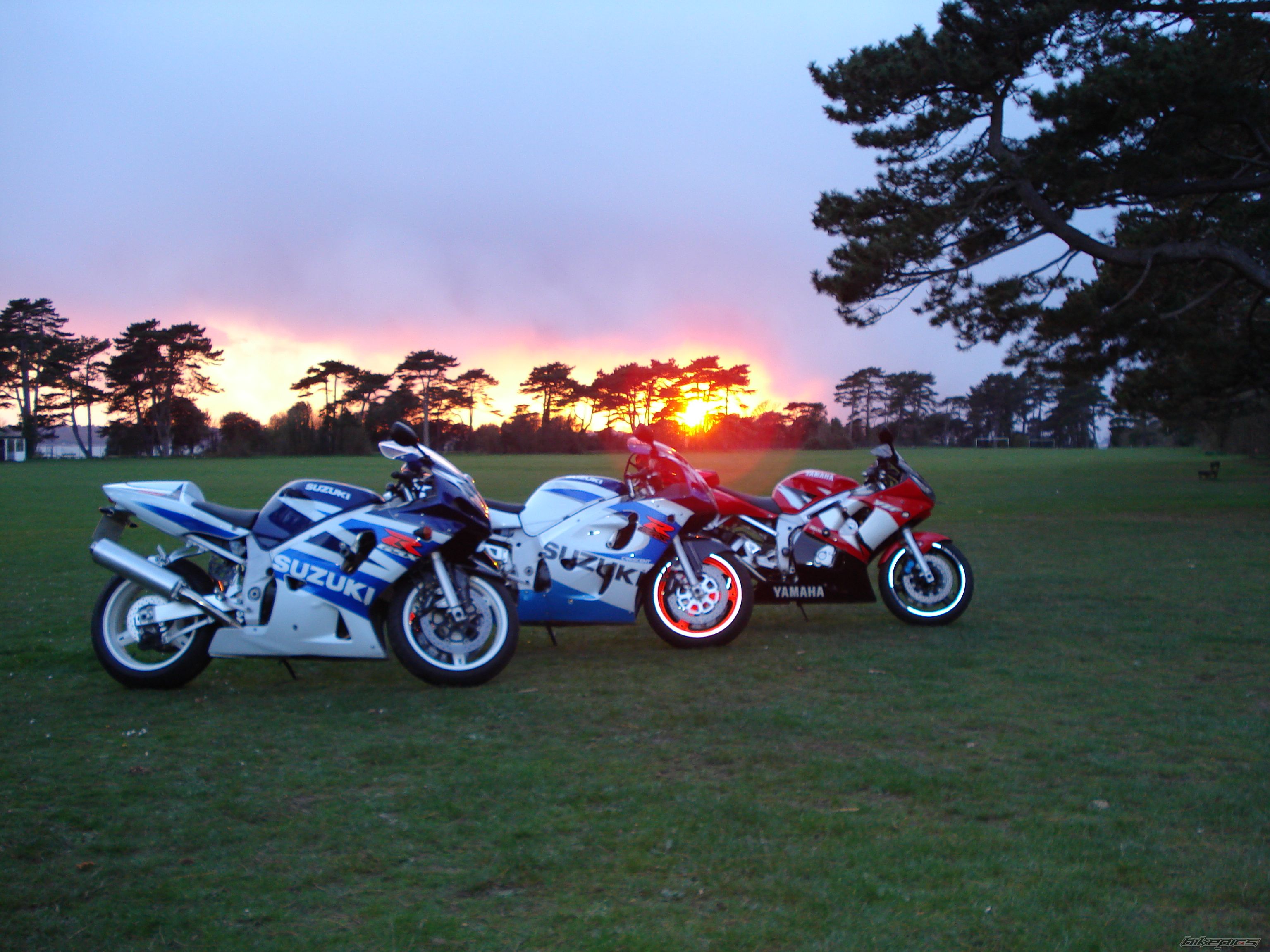 Photo 1244369
