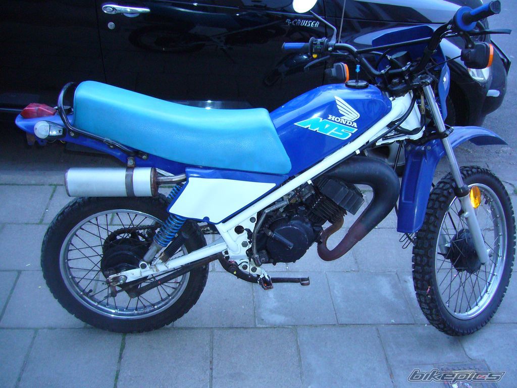 Photo 1244404