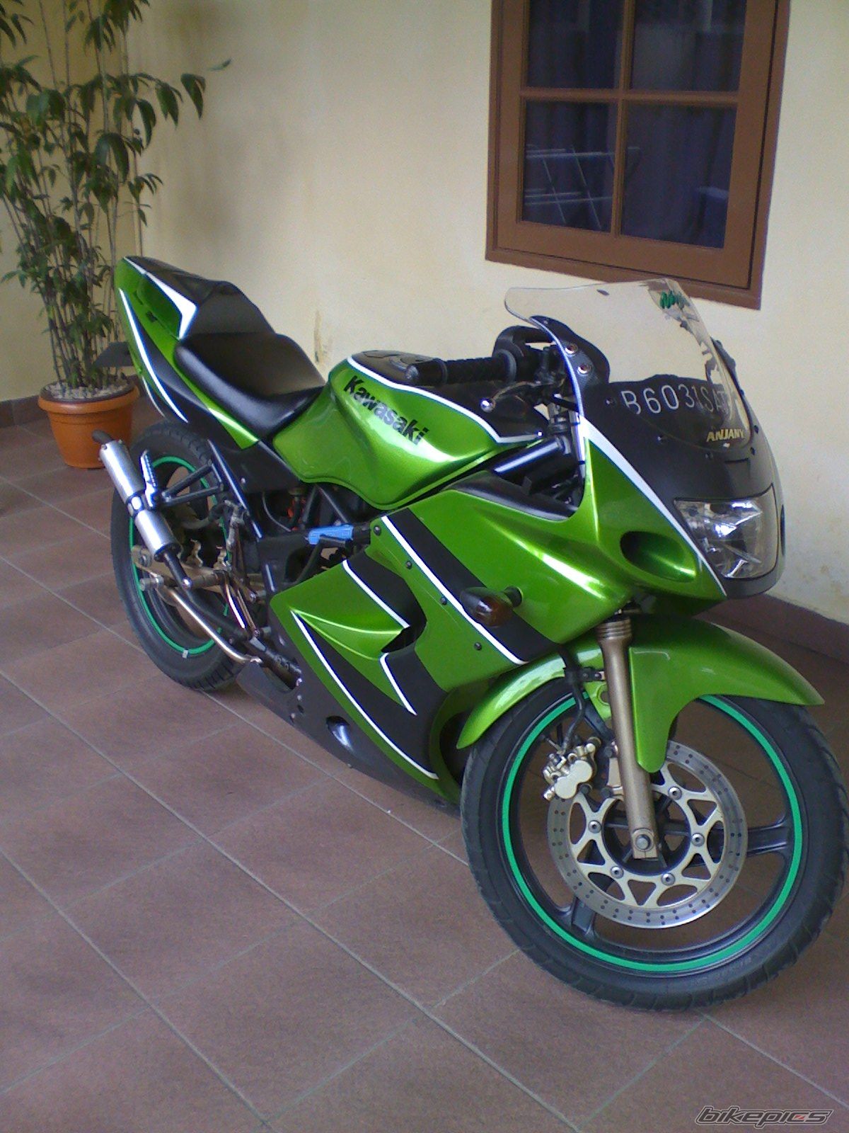 Photo 1244608