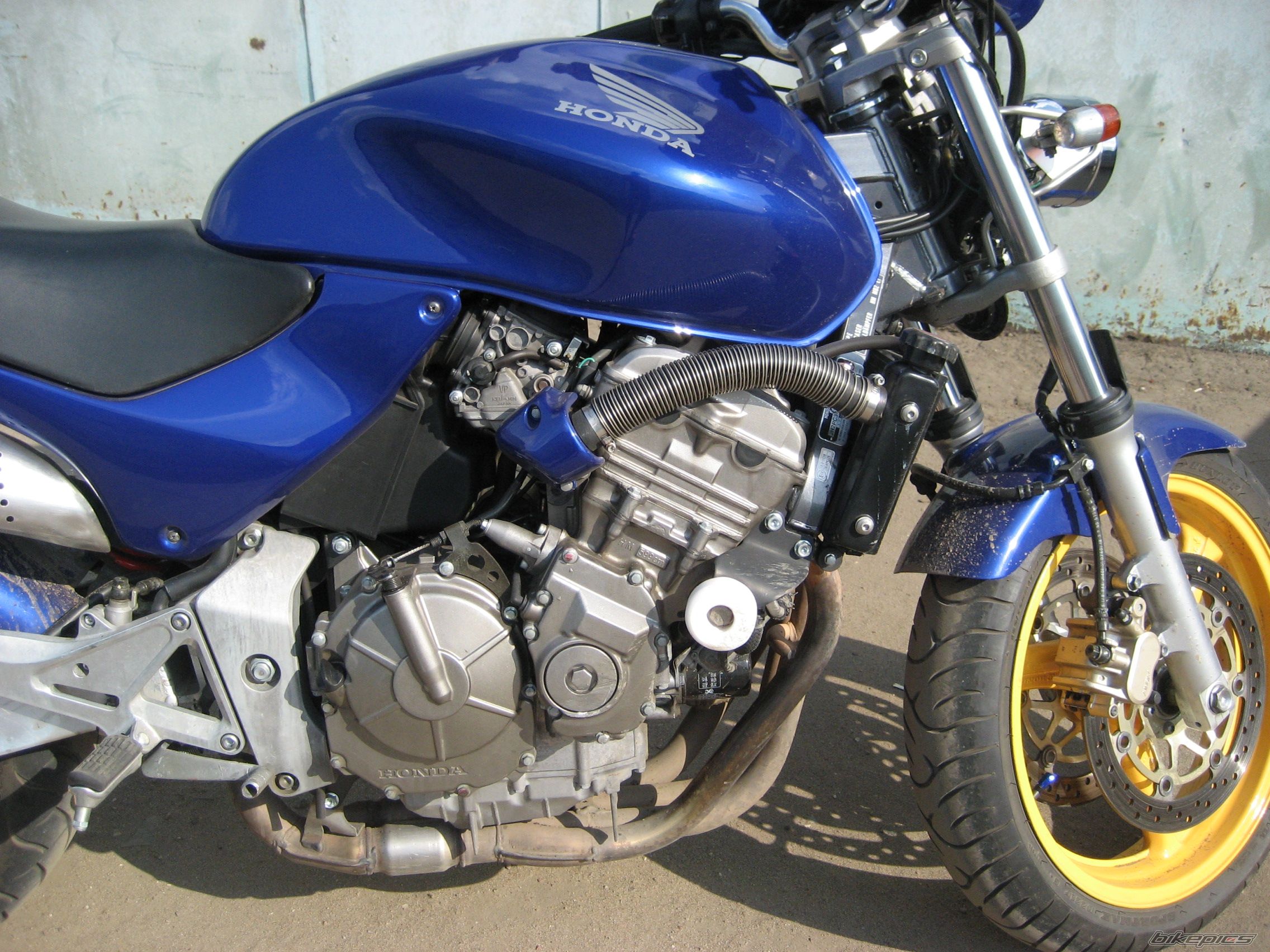 Photo 1244646