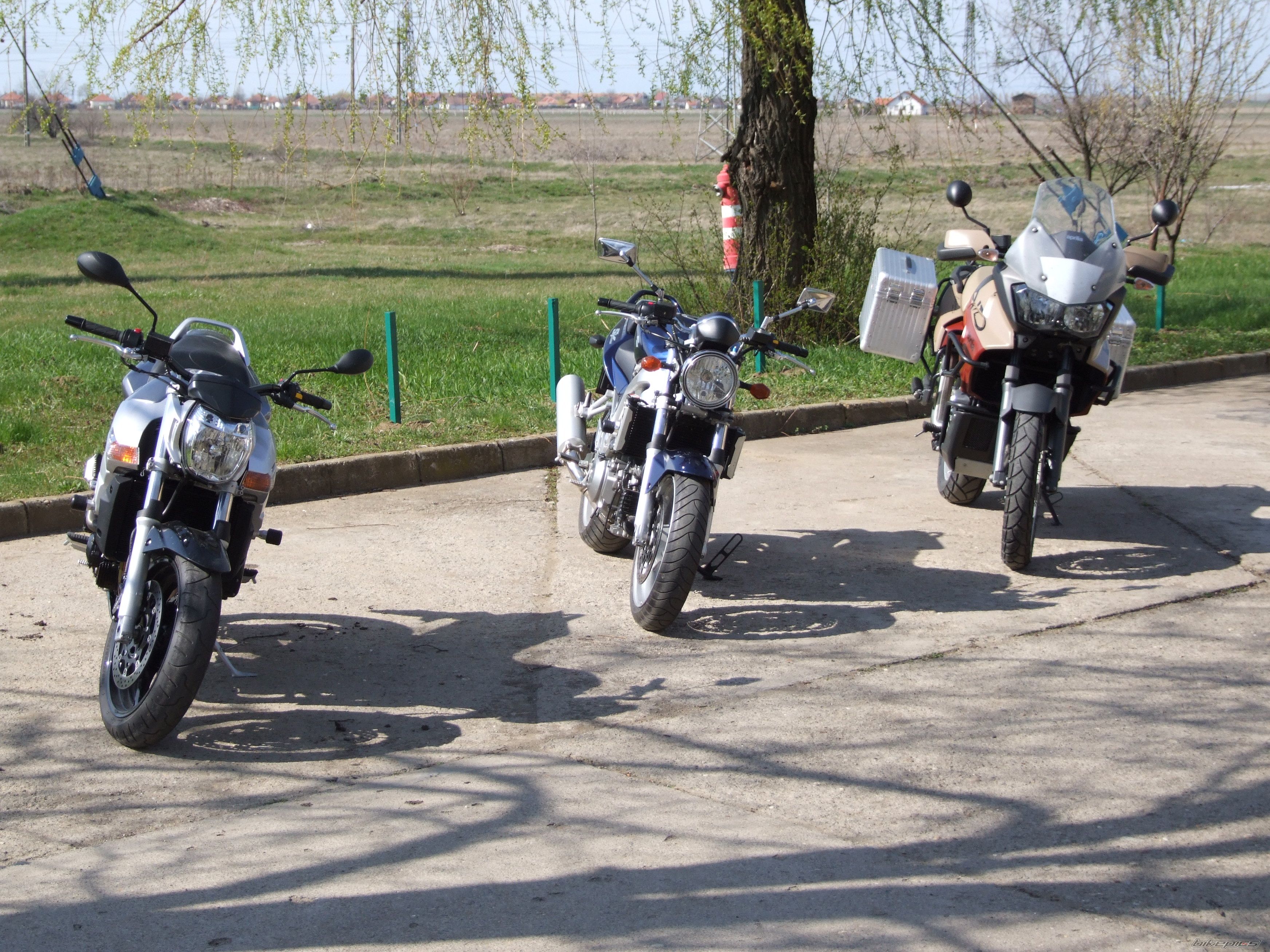 Photo 1244812