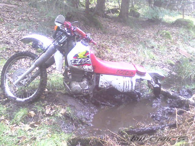 Bike Photo 1244832