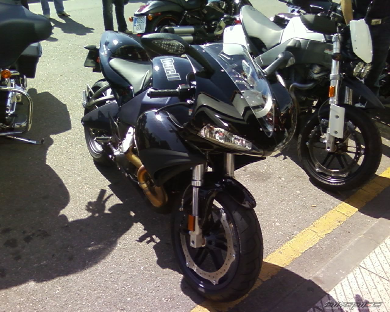 Photo 1244857