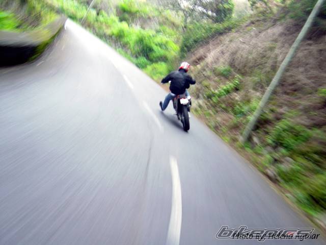 Photo 124498