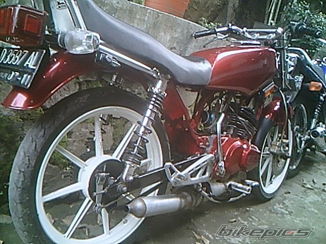 Photo 1245039
