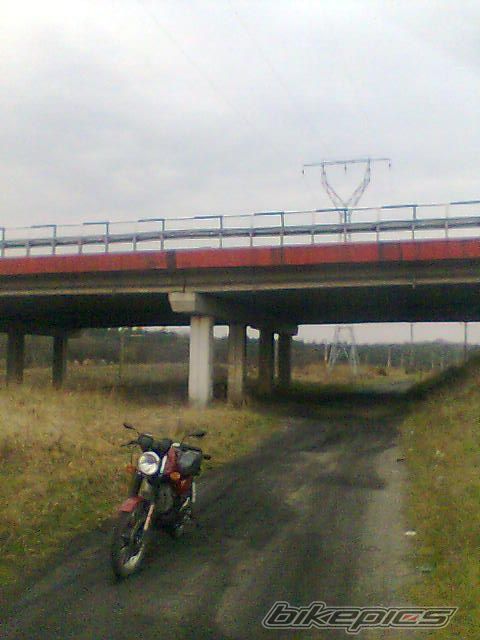 Photo 1245060