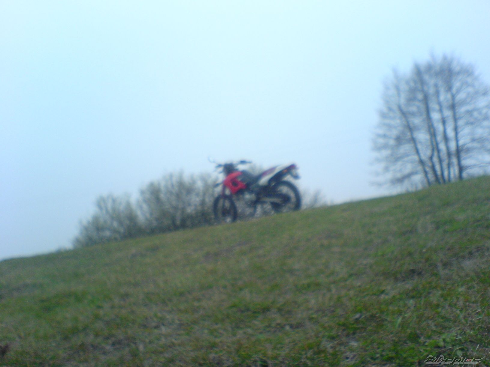 Bike Photo 1245104