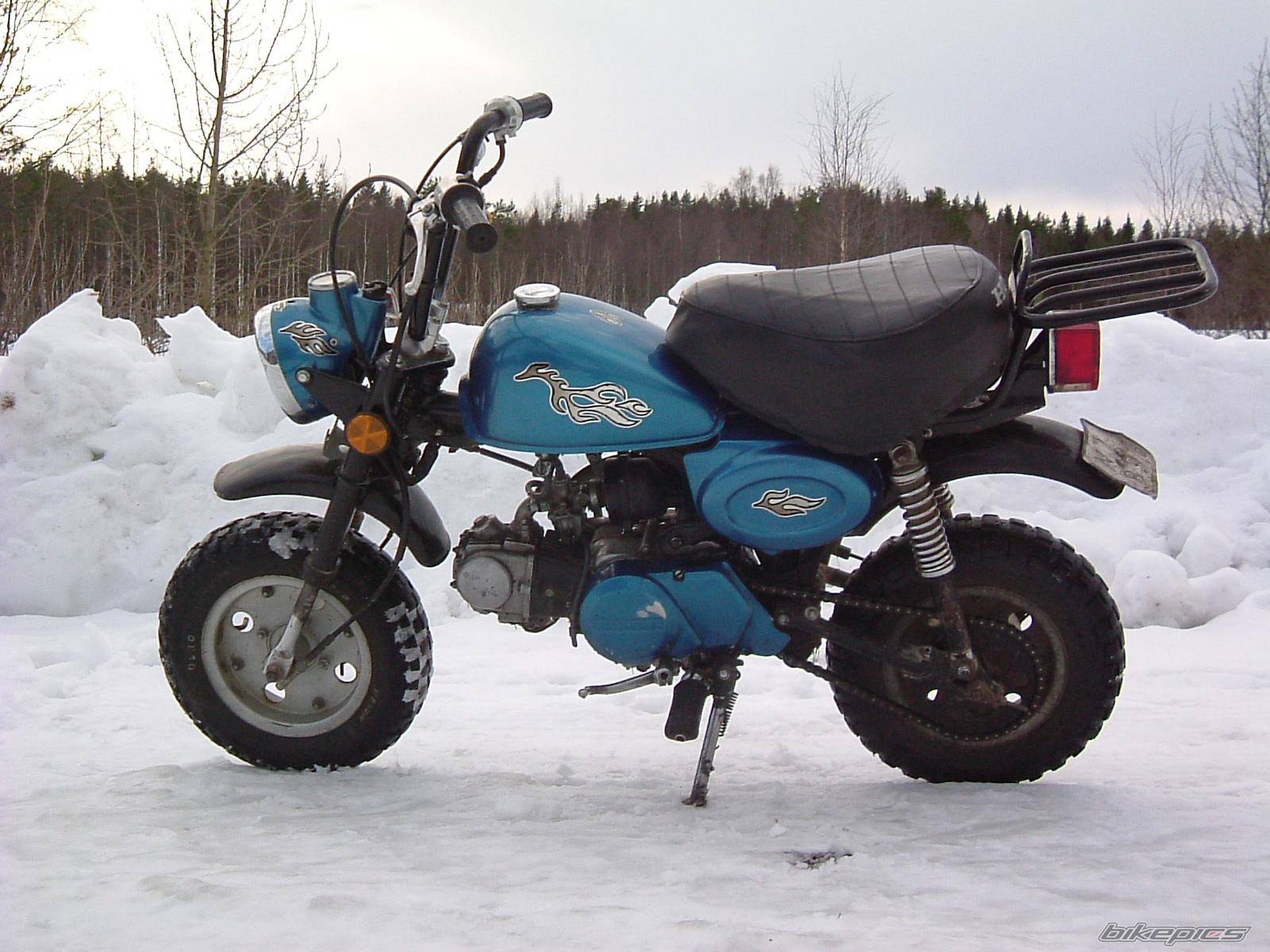 Photo 124512