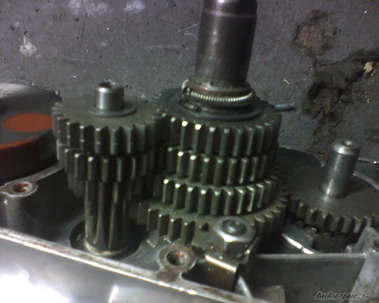 Photo 1245134