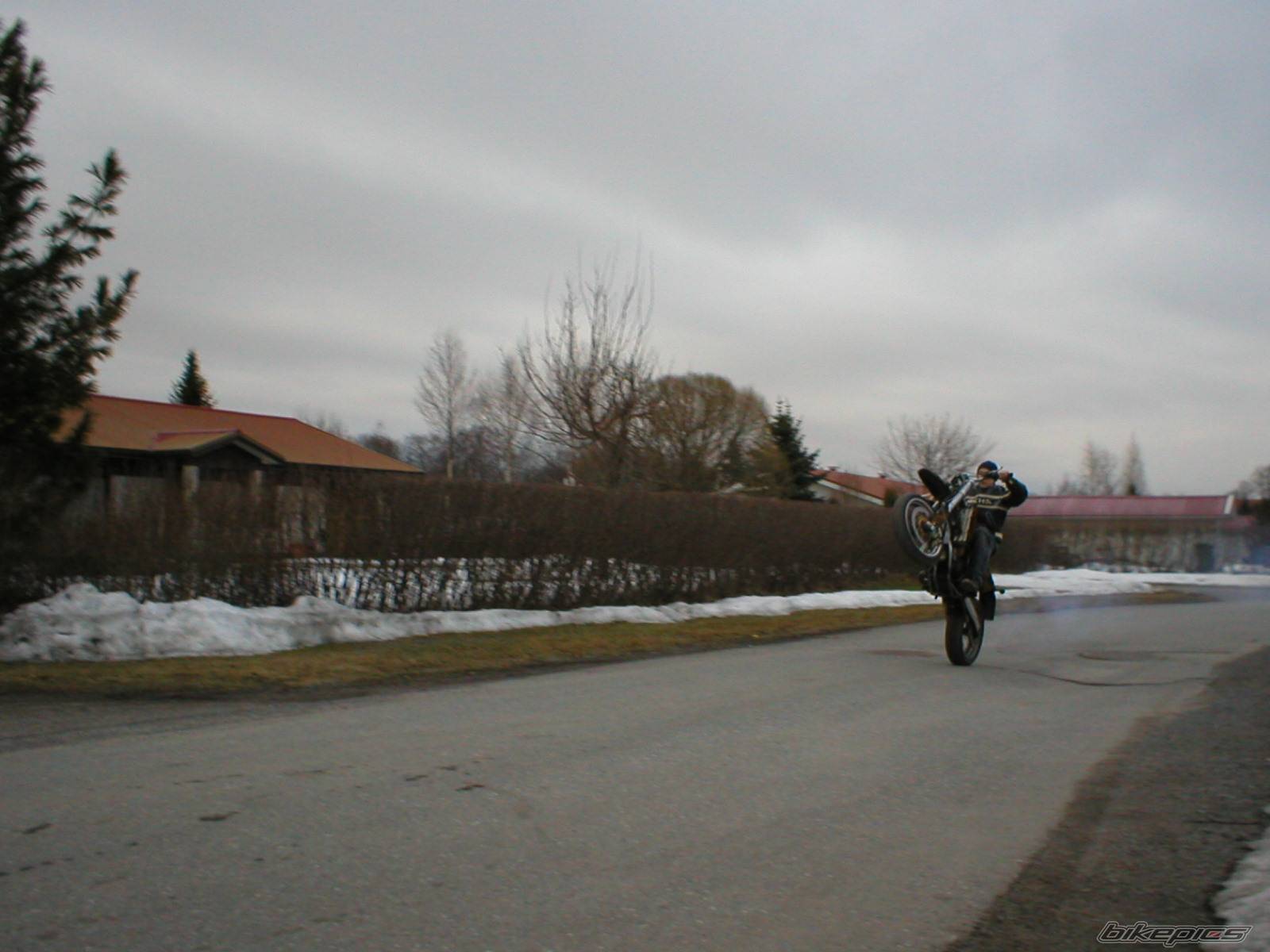Photo 124517