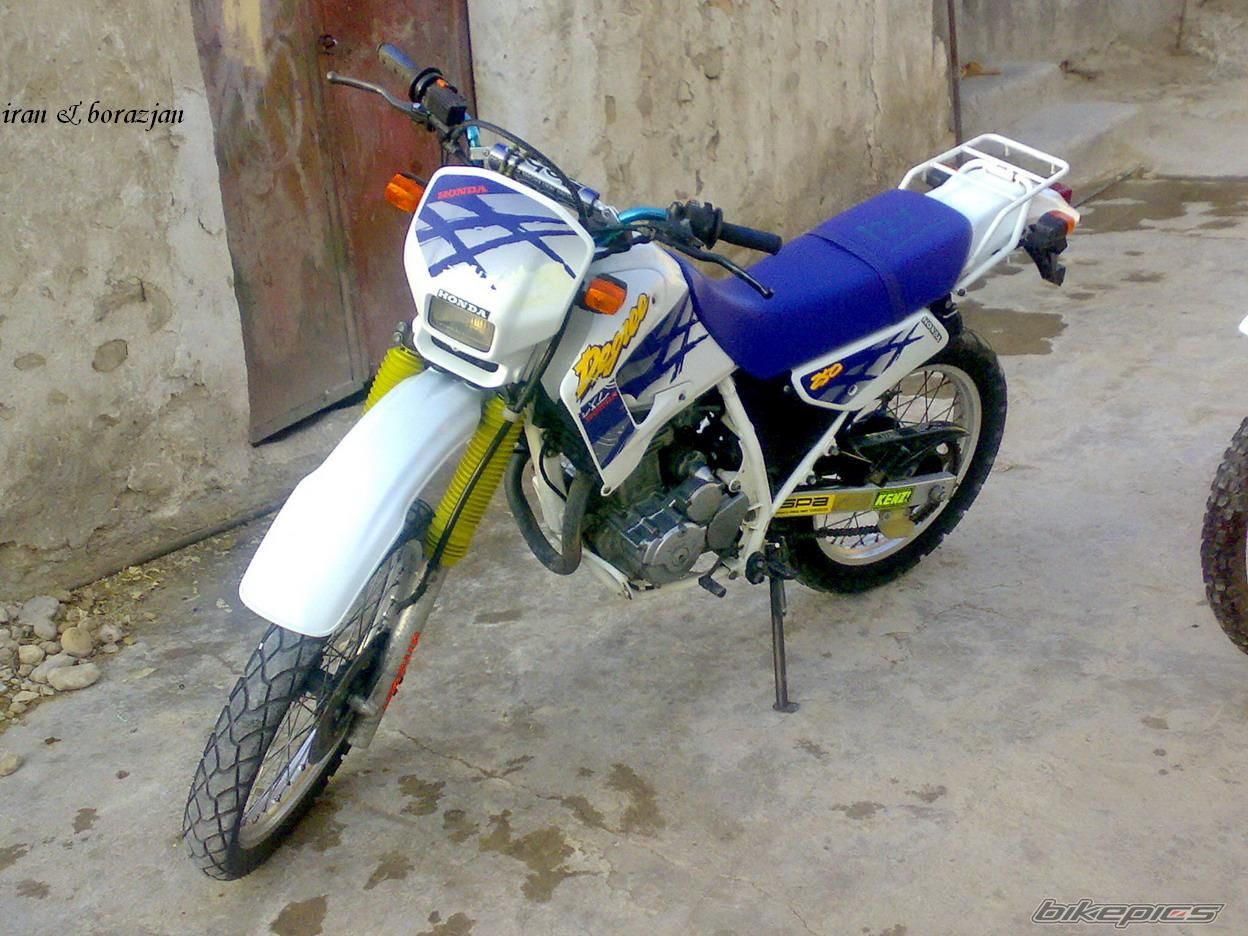 Photo 1245206