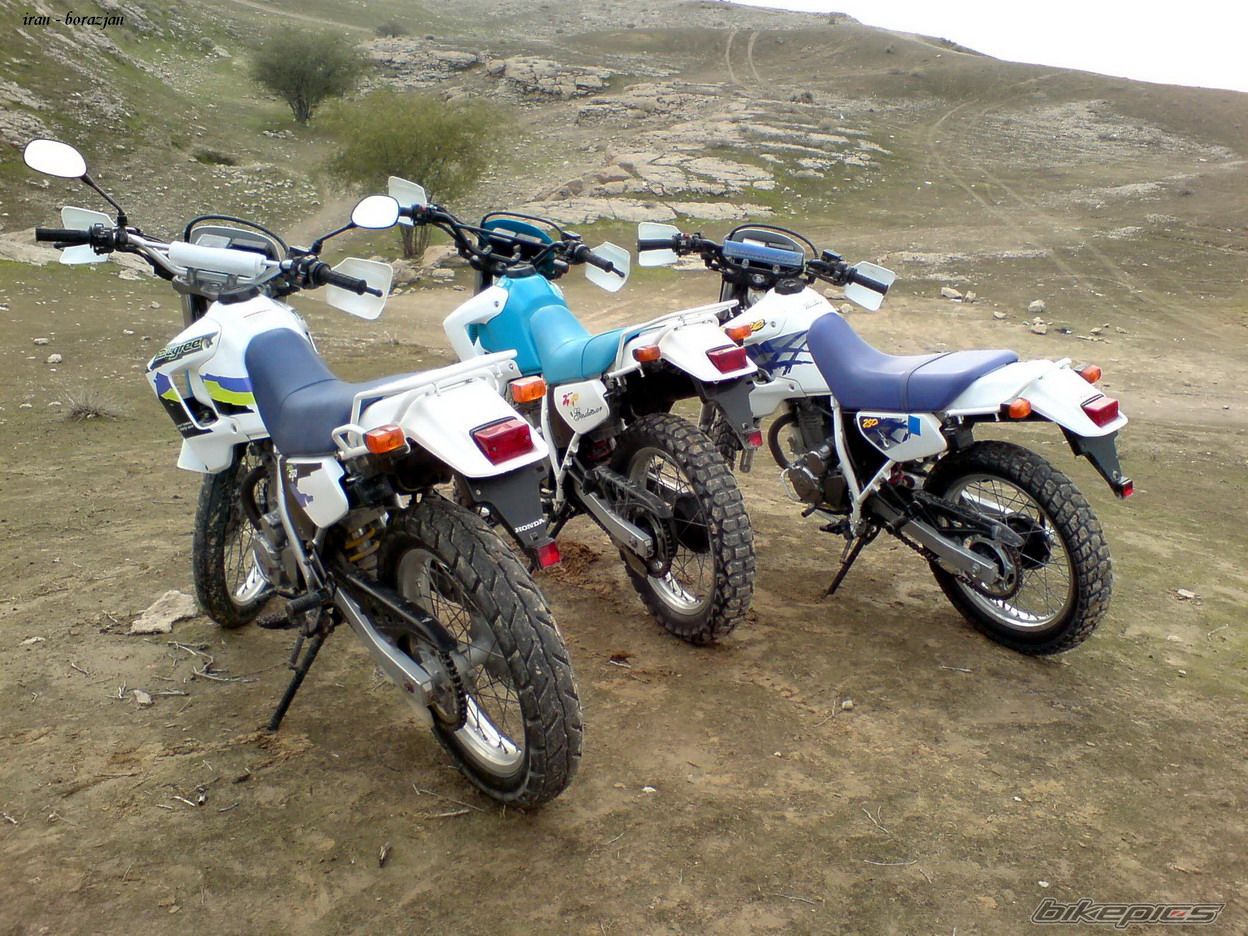 Photo 1245219