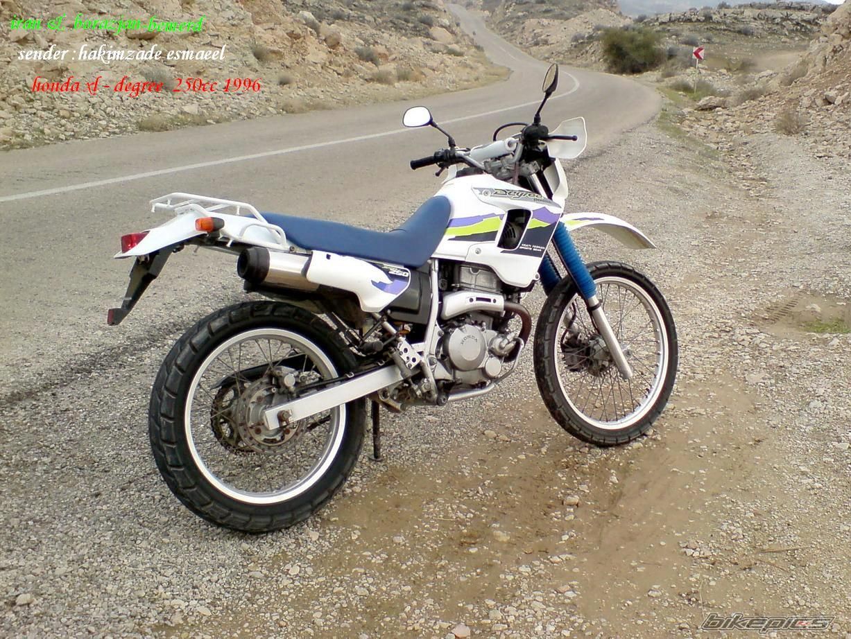 Photo 1245227