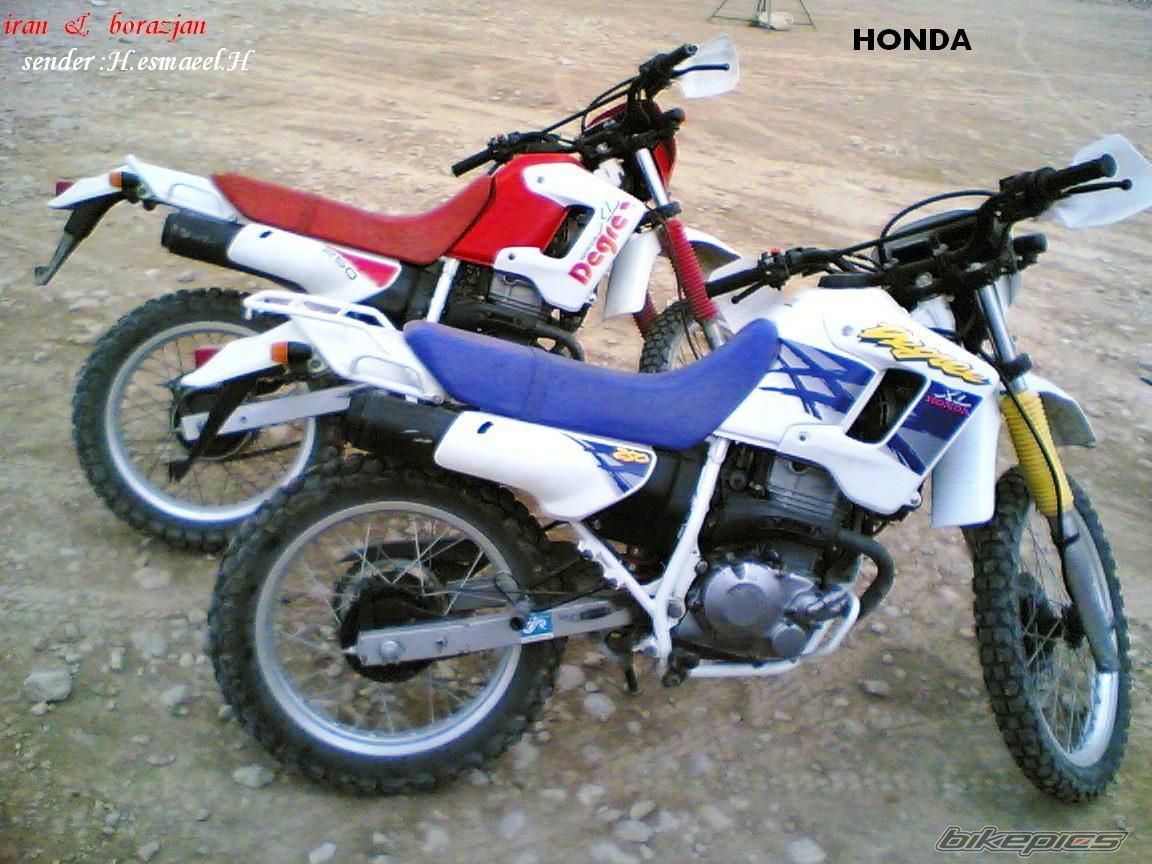 Photo 1245232