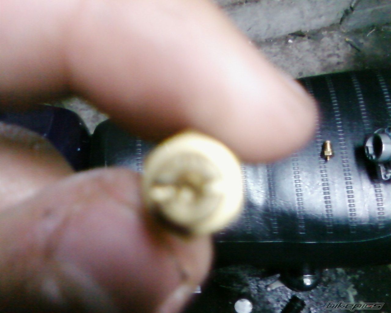 Photo 1245239