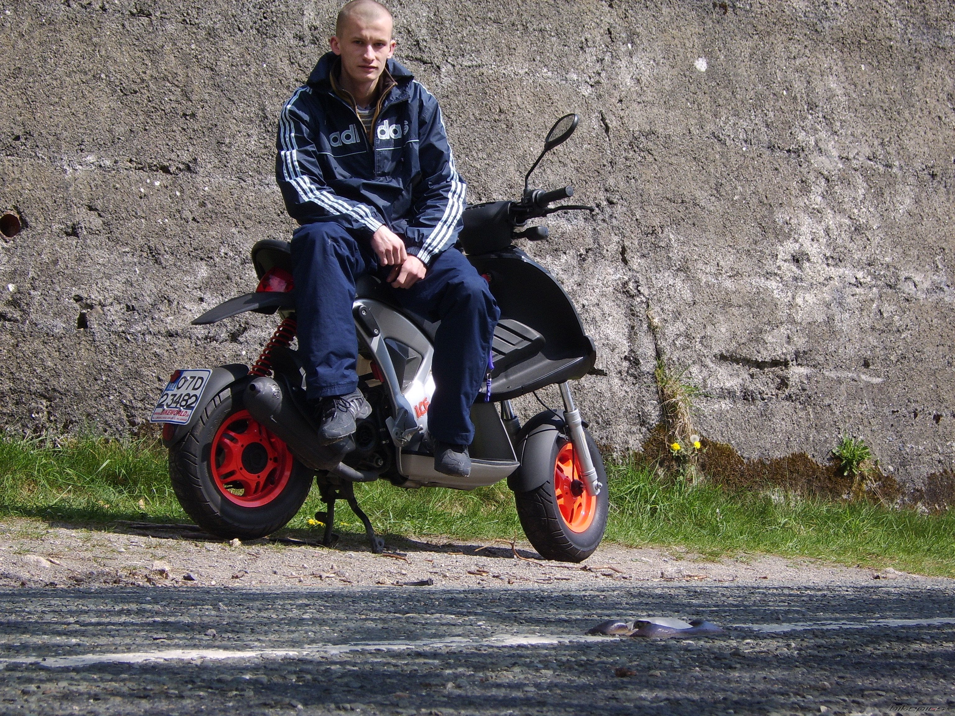Photo 1245264