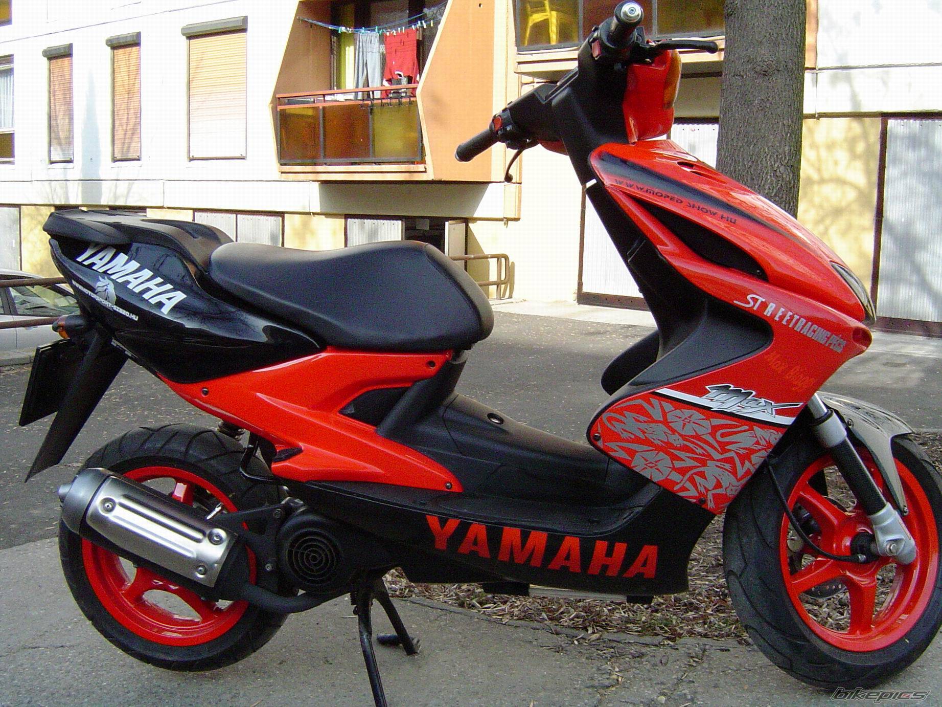 Photo 124529