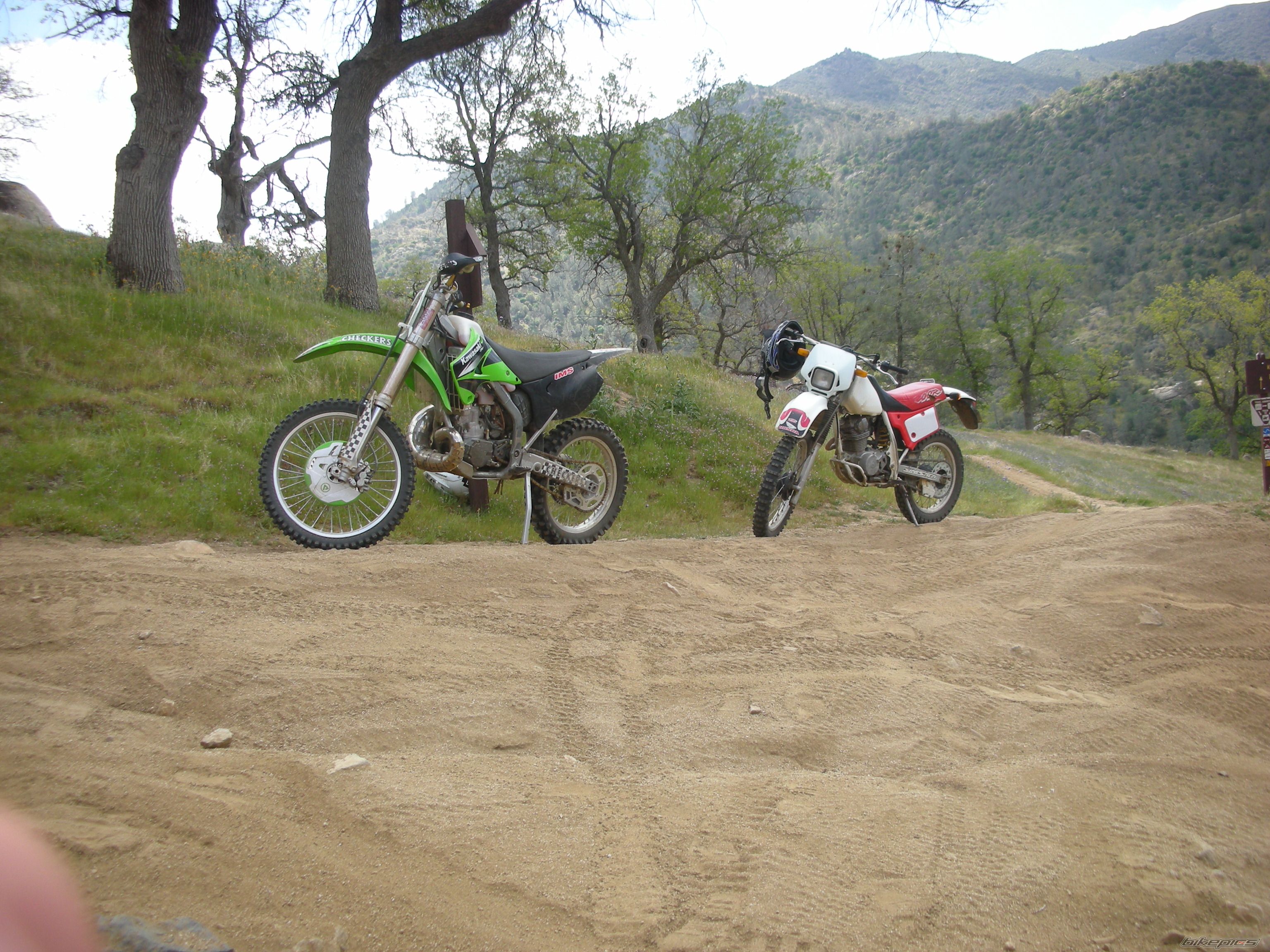 Photo 1245326