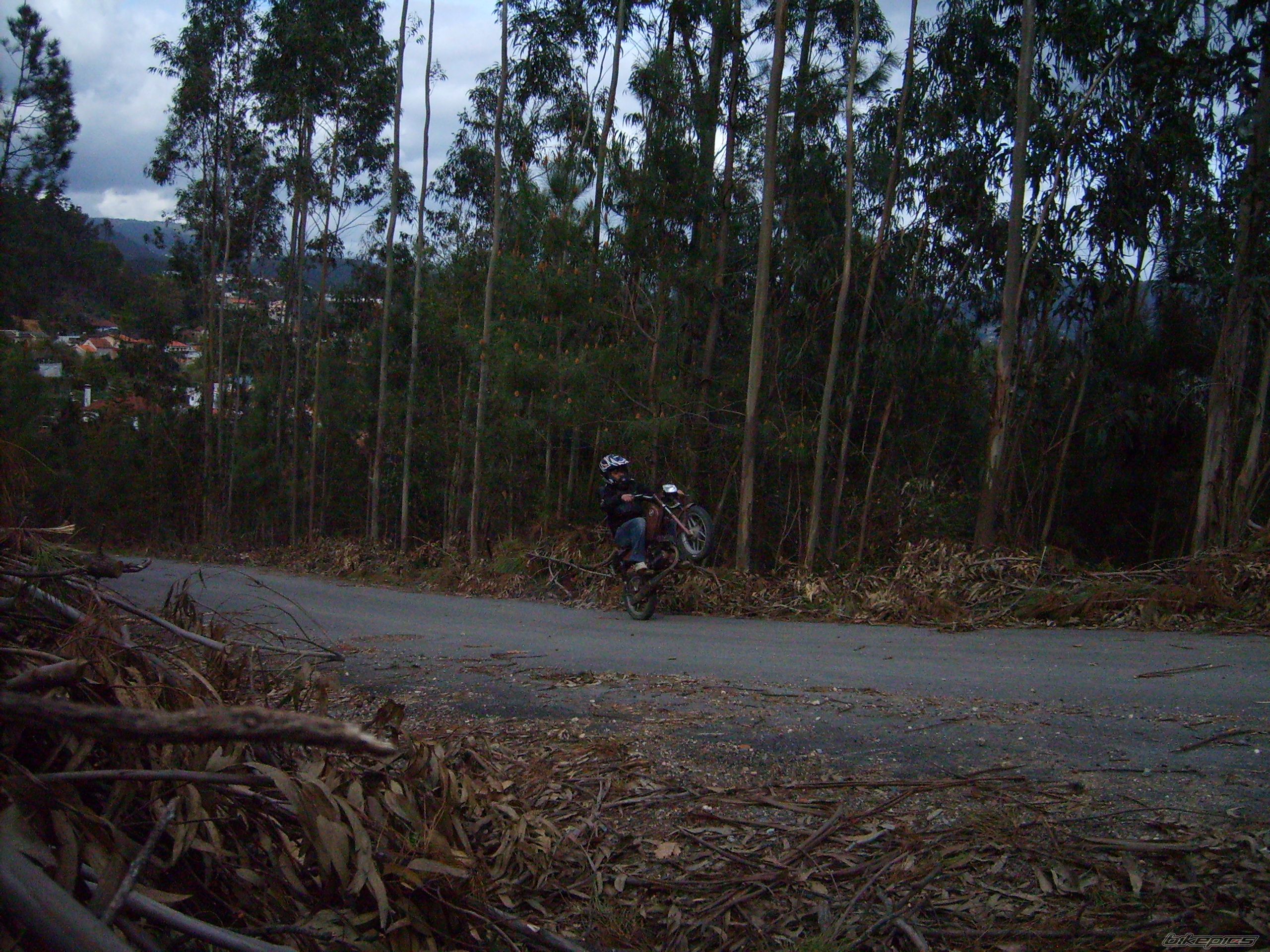 Photo 1245457